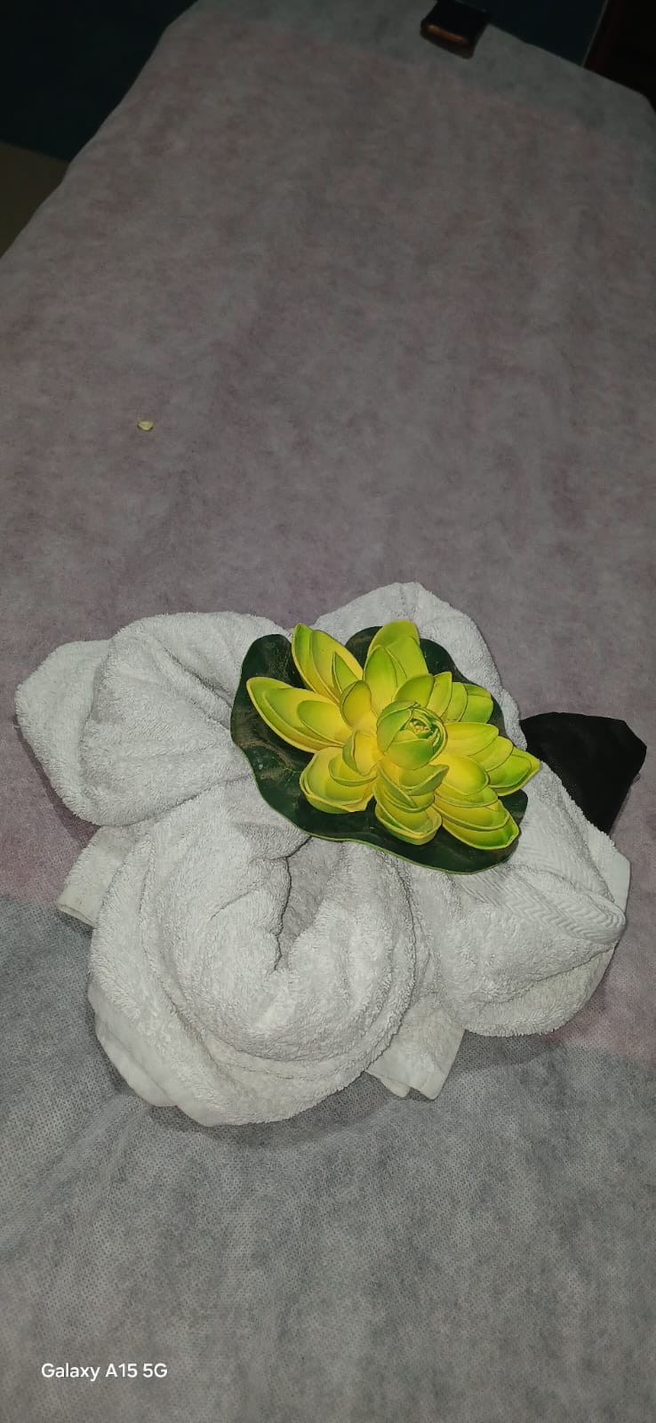 best-thai-massage-in-vellore