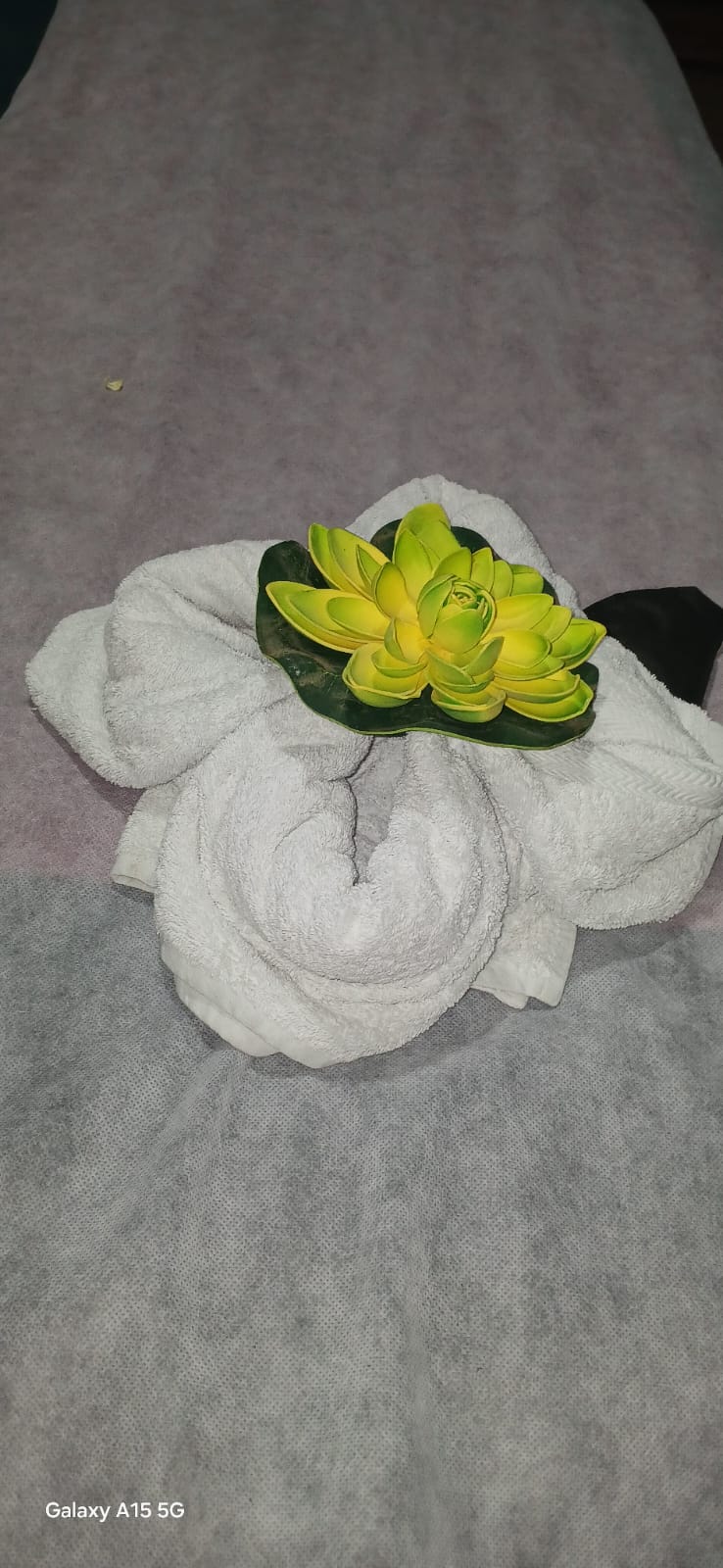 kerala-ayurvedic-massage-in-vellore