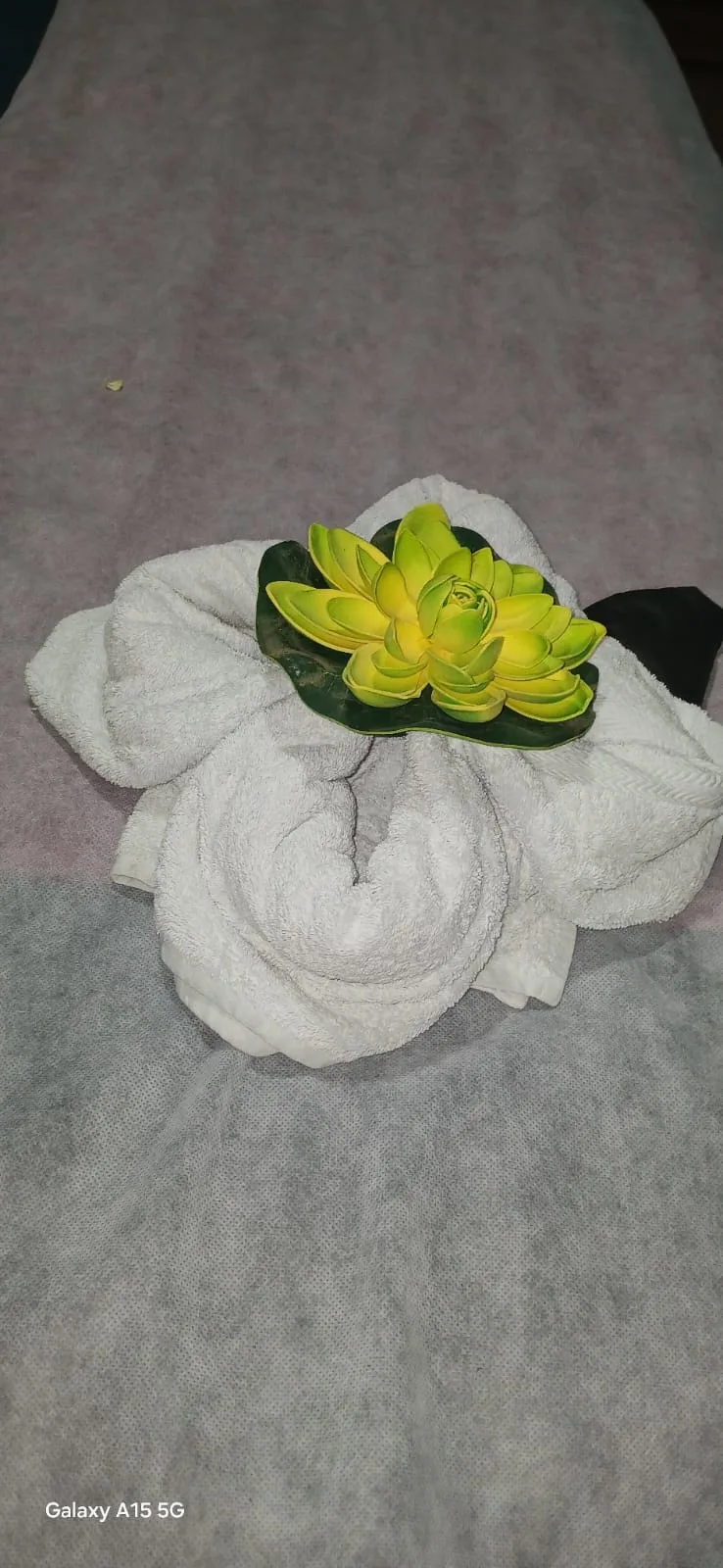 kerala-ayurvedic-massage-in-vellore